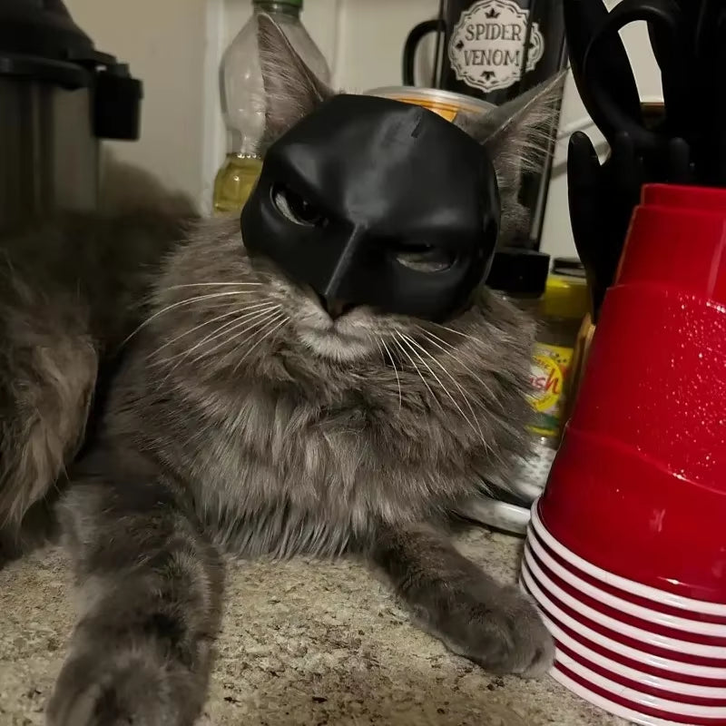 Cat Mask Cute Matte Bat Design for Pets Cool Cosplay Costume Accessory for Halloween Parties Cat Dogs Spooky Make-Up Party Toy